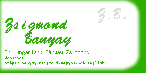 zsigmond banyay business card